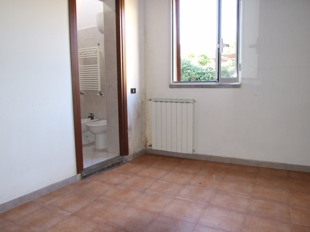 DSCF5239 (FILEminimizer).JPG